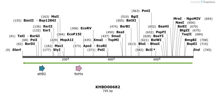 52295_map
