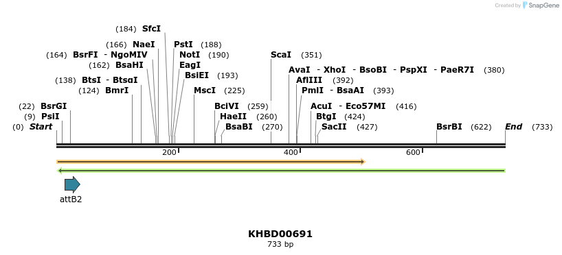 52299_map