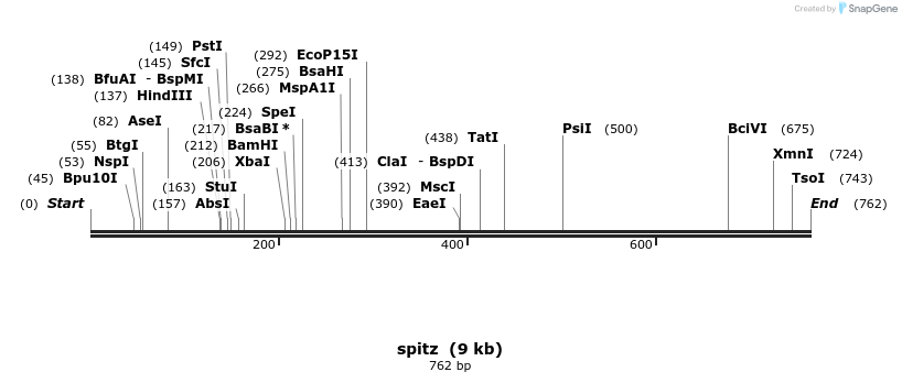 52301_map