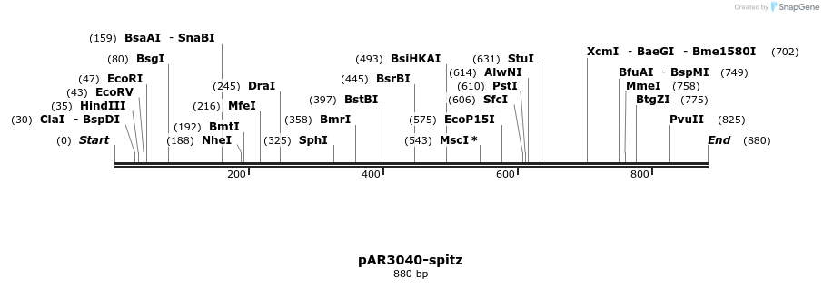 52304_map