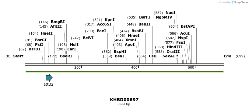 52309_map