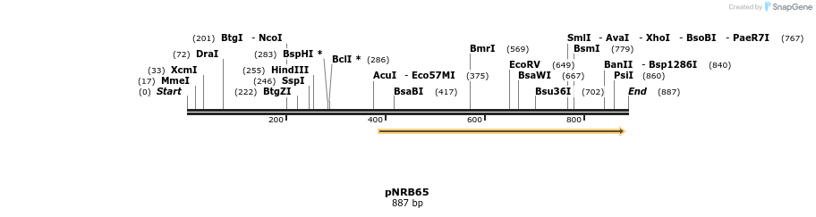 52311_map