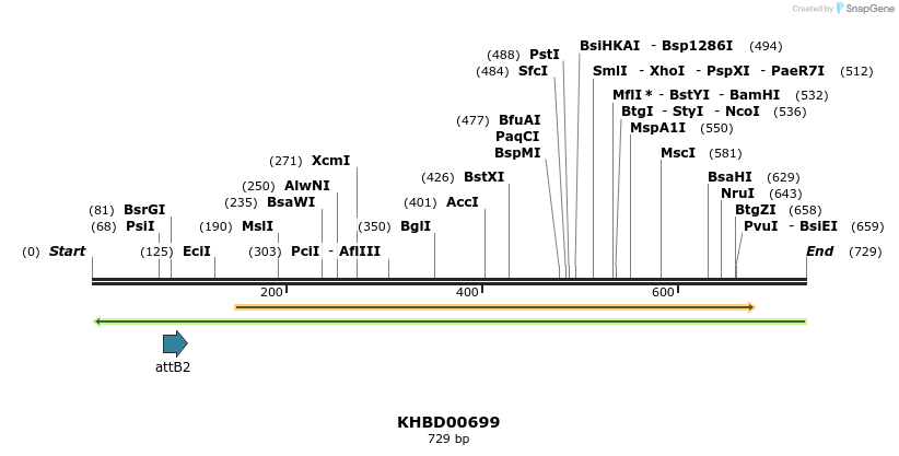 52316_map