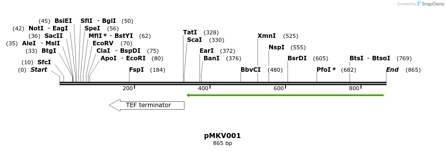 52319_map