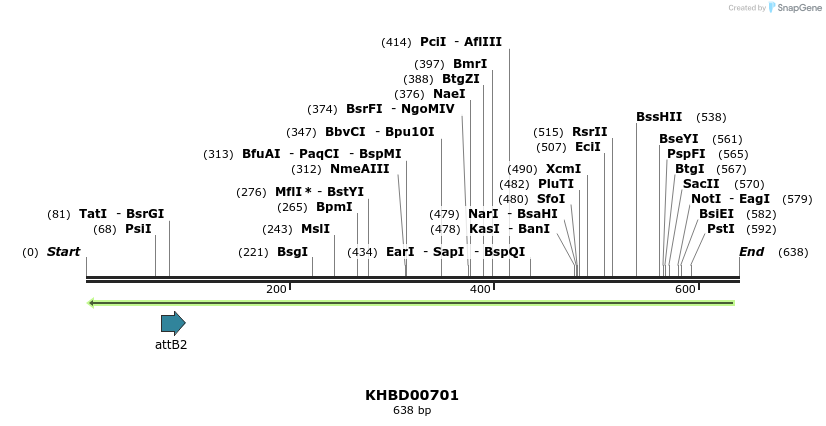 52320_map