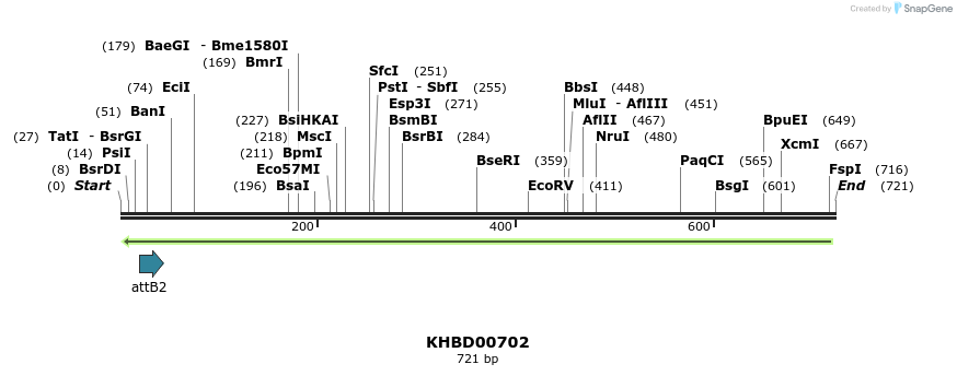 52324_map
