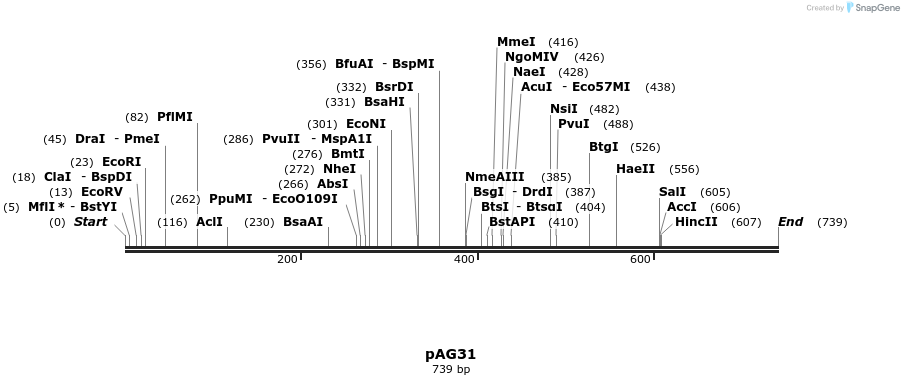 52327_map