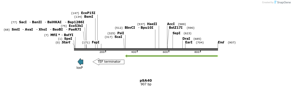 52328_map