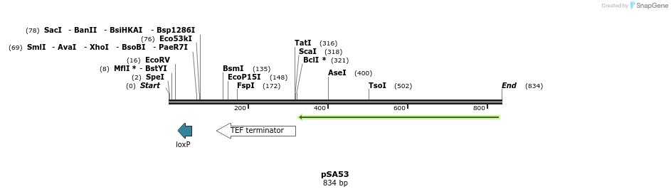 52329_map