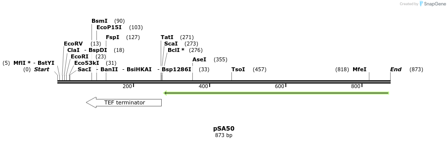 52330_map