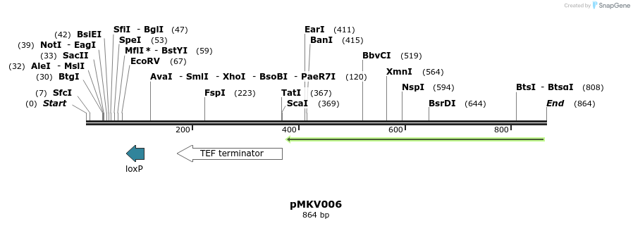52332_map