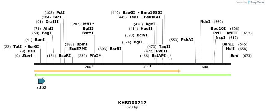 52341_map