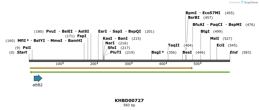 52343_map