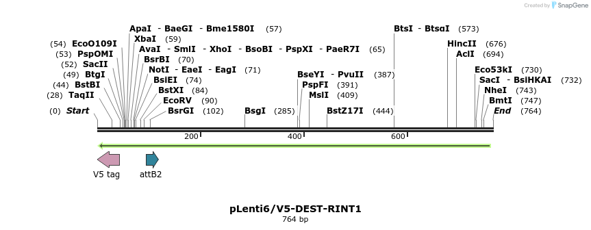 52344_map