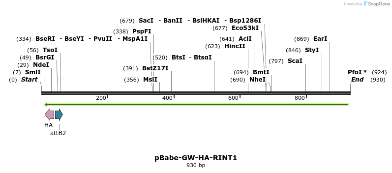 52346_map