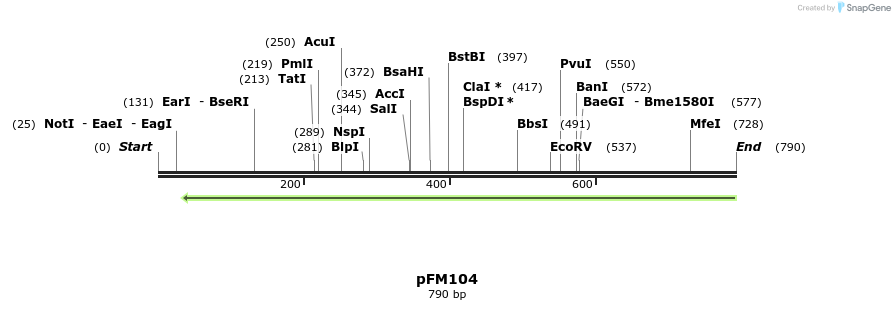 52349_map