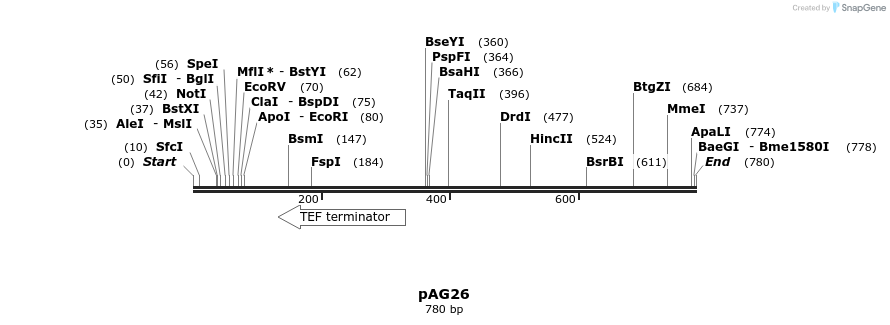 52351_map