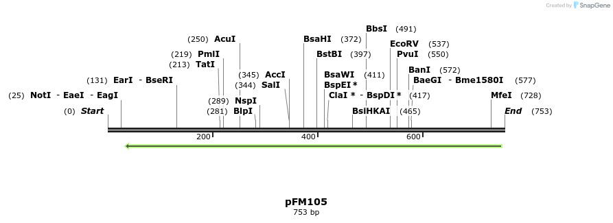 52353_map