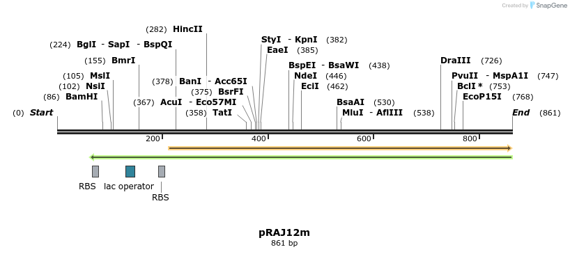 52358_map