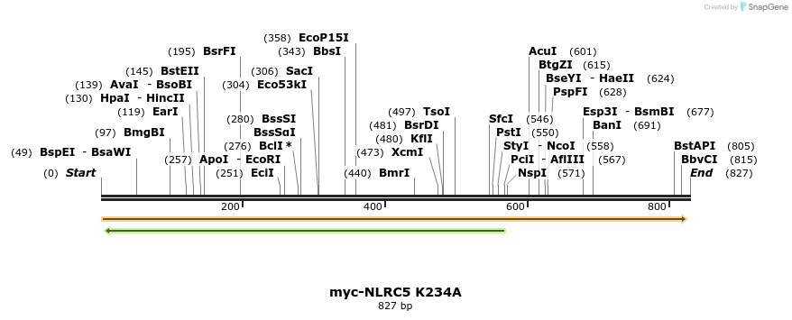 52361_map