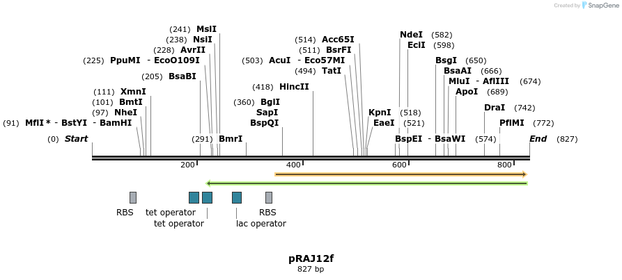 52364_map