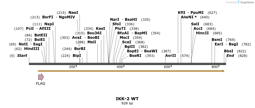 52379_map