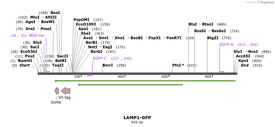 52385_map