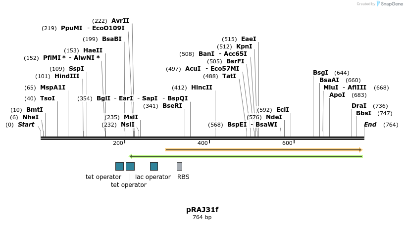 52386_map