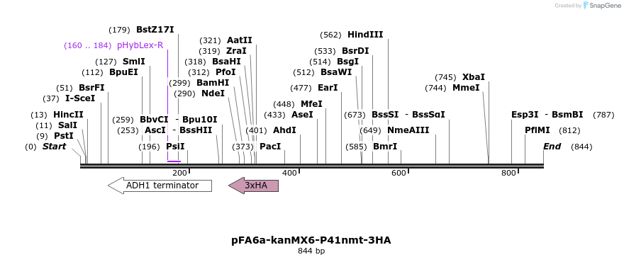 52396_map