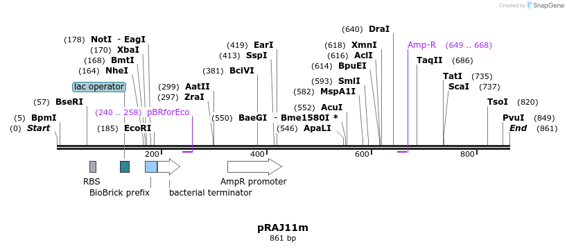 52401_map