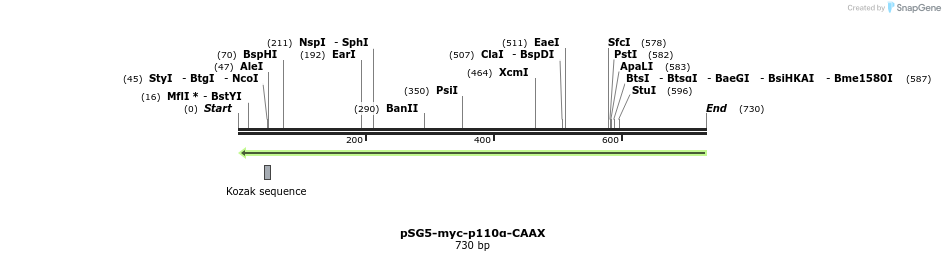 52403_map
