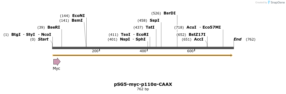 52404_map