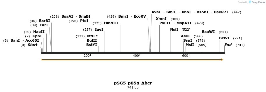 52410_map