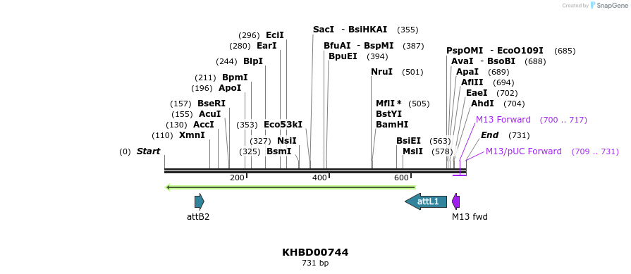 52416_map