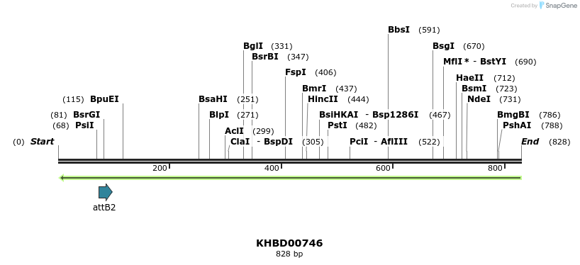 52417_map