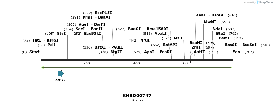 52418_map