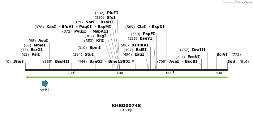 52419_map