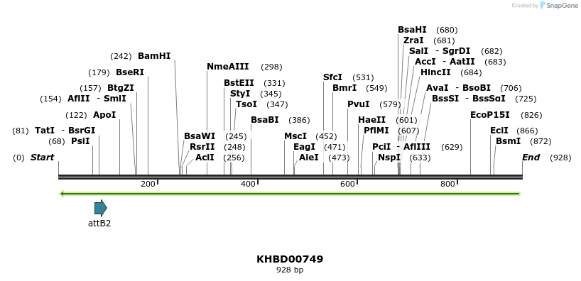 52421_map