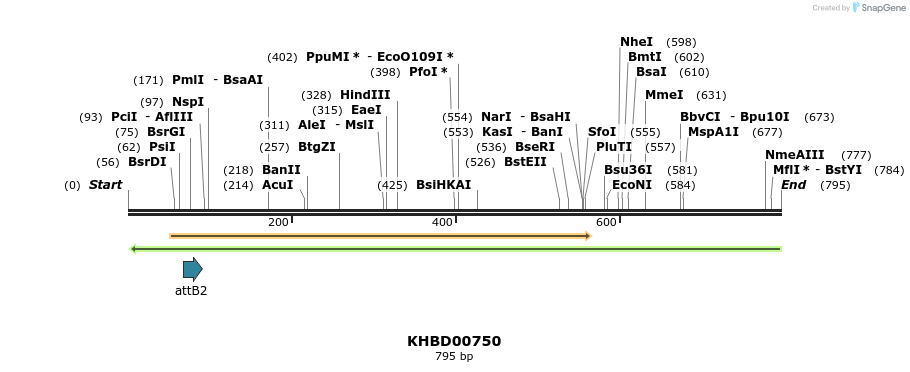 52422_map
