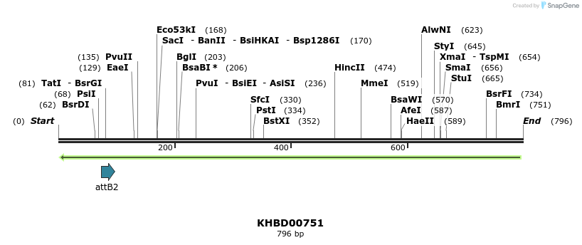 52423_map
