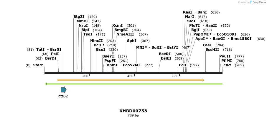 52424_map