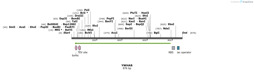 52426_map