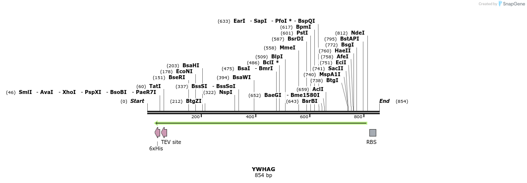 52428_map