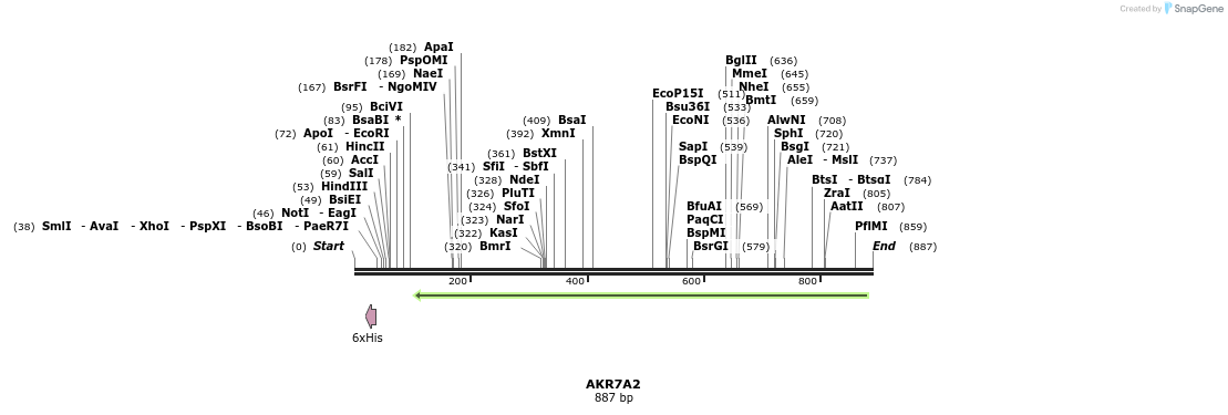 52429_map