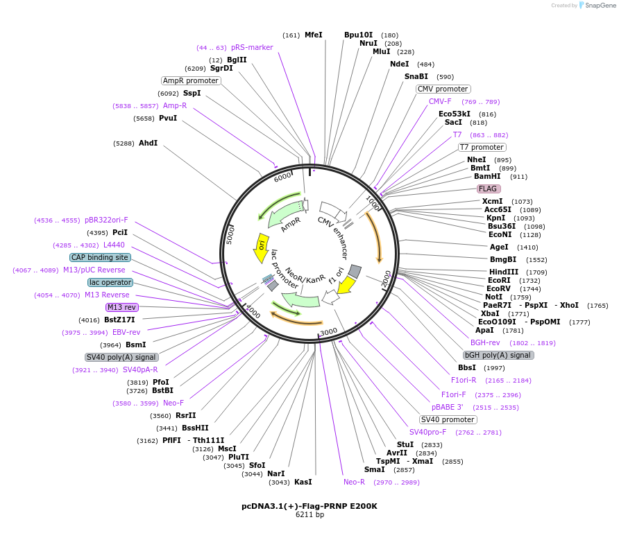 524301_map