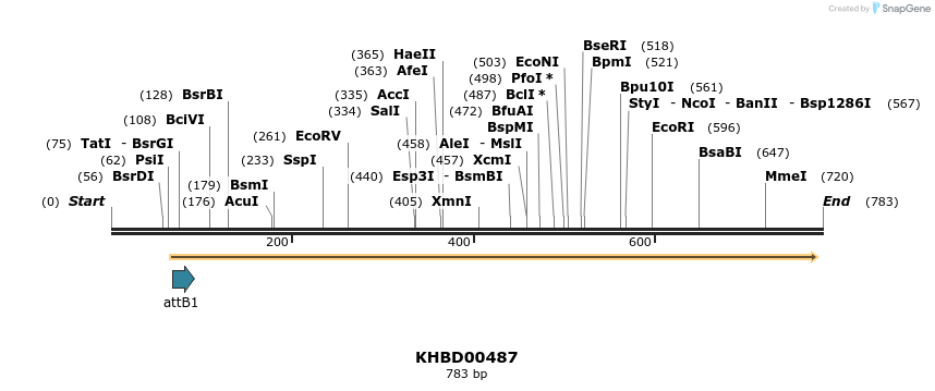 52438_map