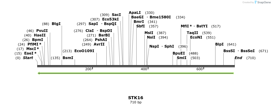 52439_map
