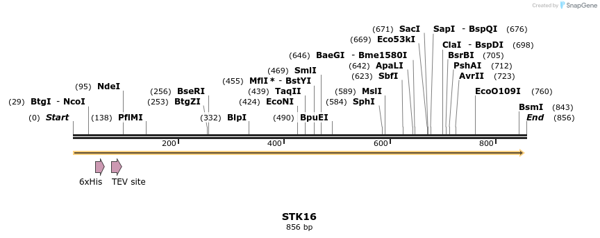 52440_map