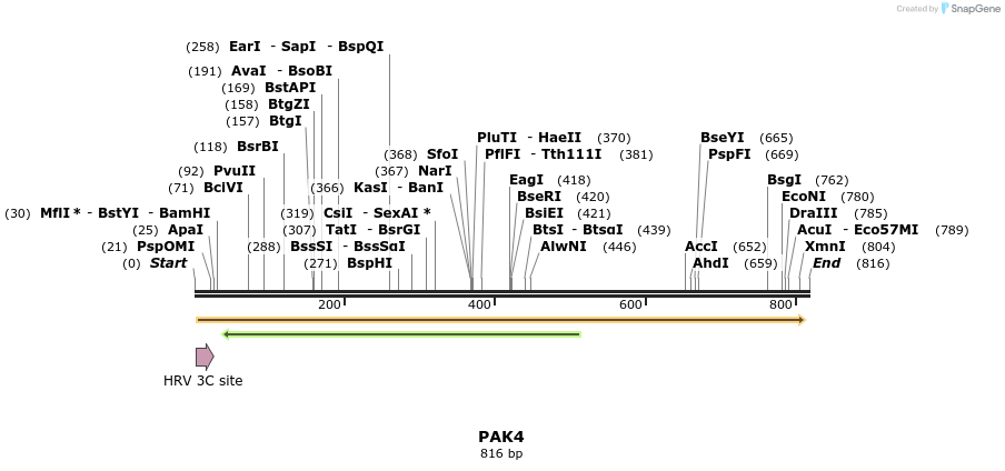 52448_map
