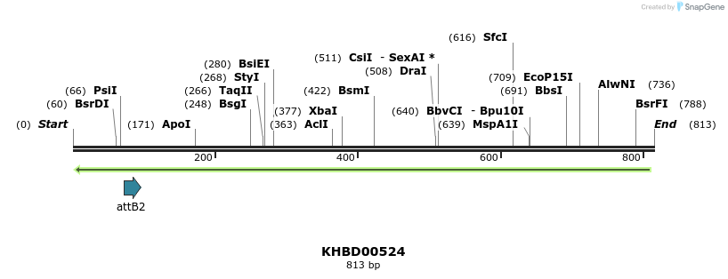 52451_map